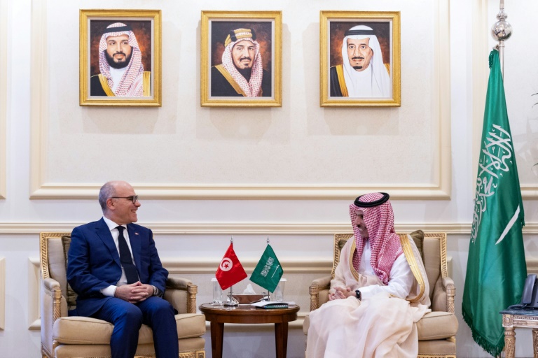 Saudi to give cash-strapped Tunisia $500 mn in assistance