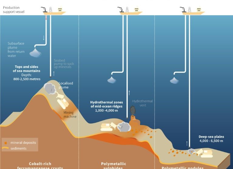  Deep ocean targeted for mining is rich in unknown life