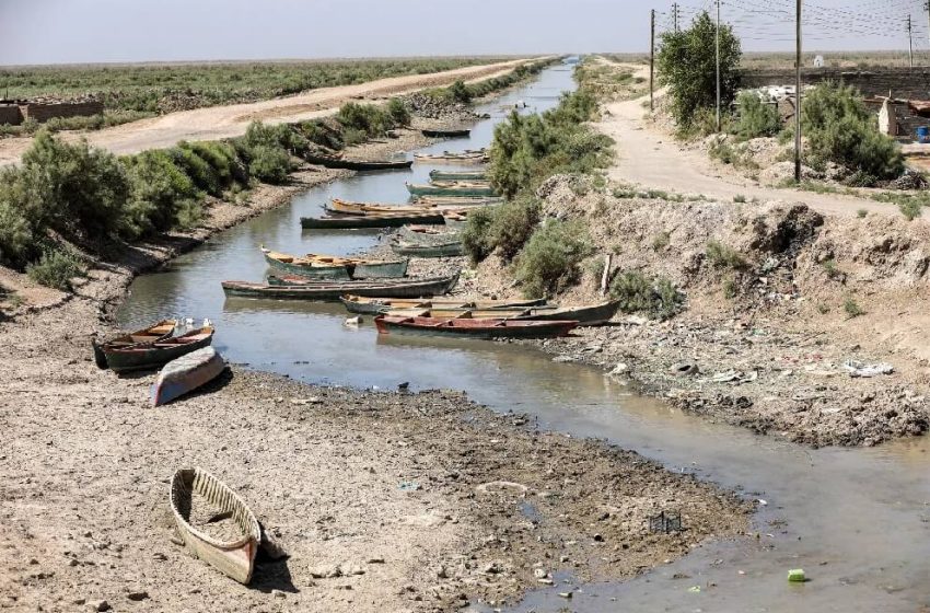  Thousands of dead fish in Maysan shock Iraqis