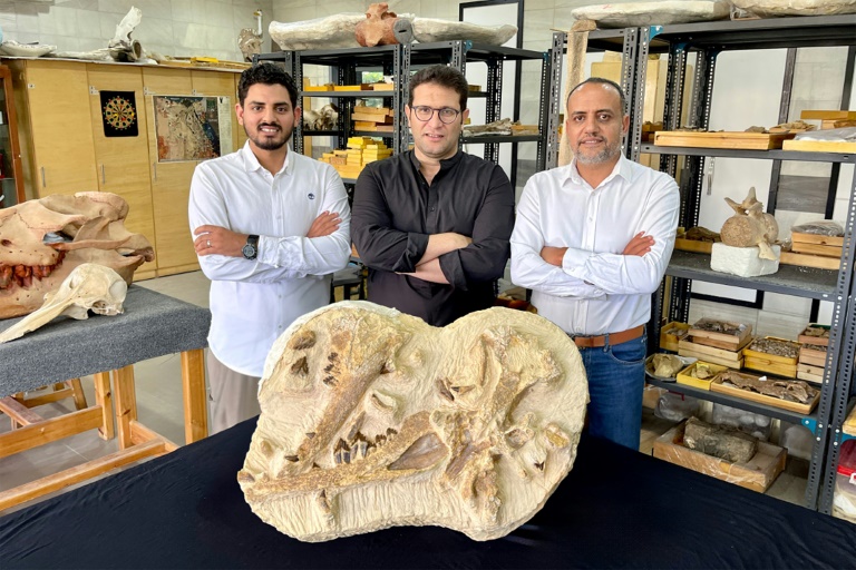  Egypt dig unearths 41mn-year-old whale in desert