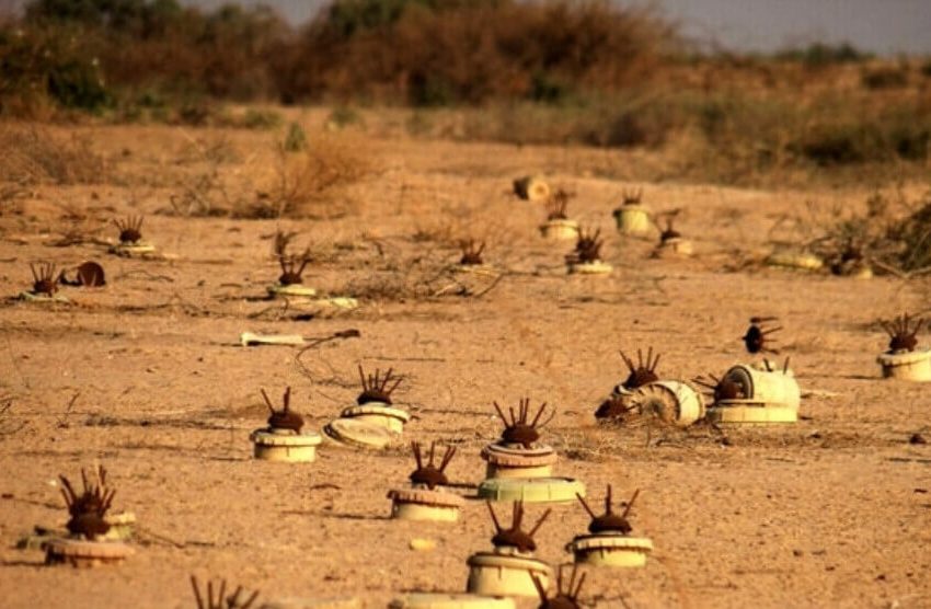  59% of Iraqi areas planted with landmines cleared
