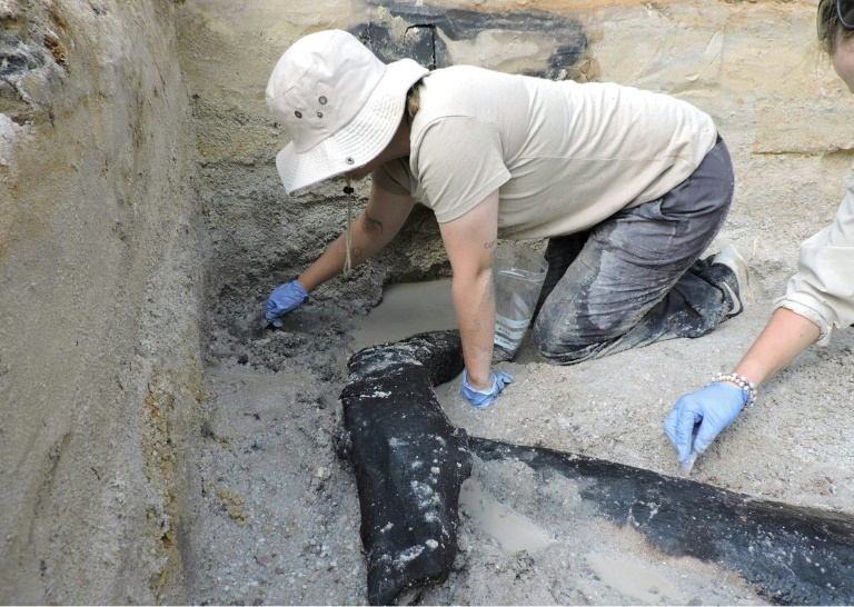  World’s oldest wooden structure discovered in Zambia