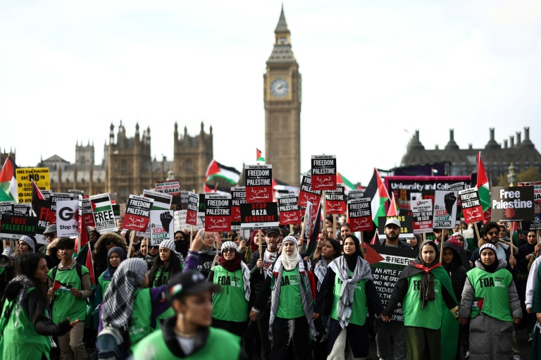  Thousands of pro-Palestinian protesters demand ceasefire during London march