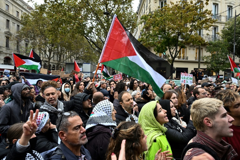  Thousands join banned Paris pro-Palestinian march
