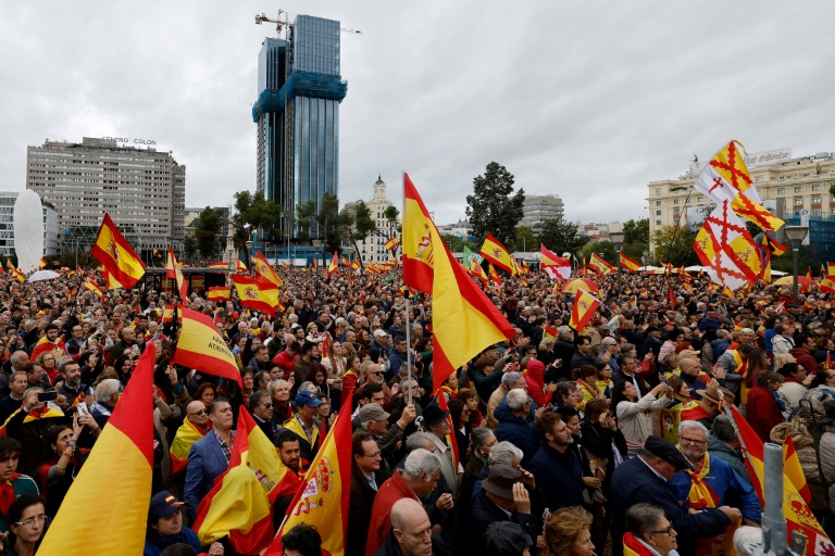  Thousands rally in Spain against amnesty for separatists