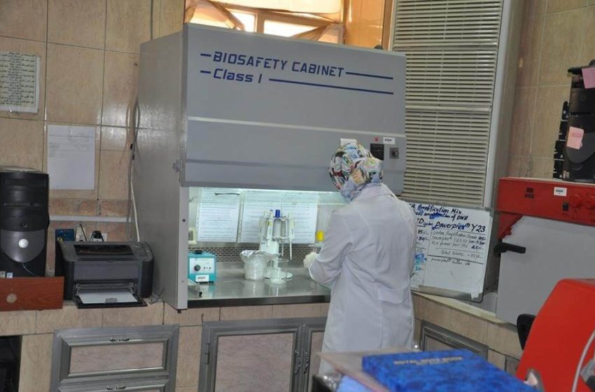  Iraq’s forensic DNA laboratory to obtain ISO/IEC 17025 accreditation