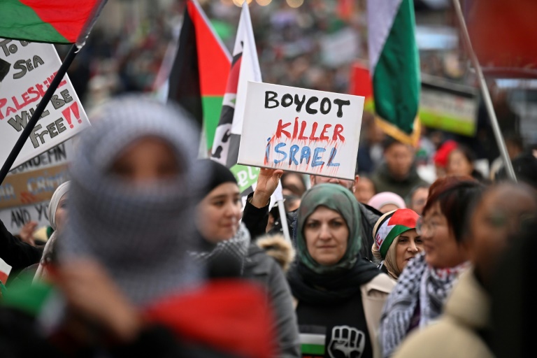  More than 20,000 attend pro-Palestinian rally in Brussels