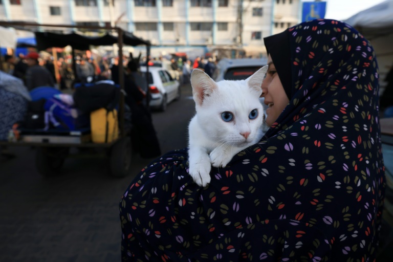  Gazans fill streets heading home as truce begins
