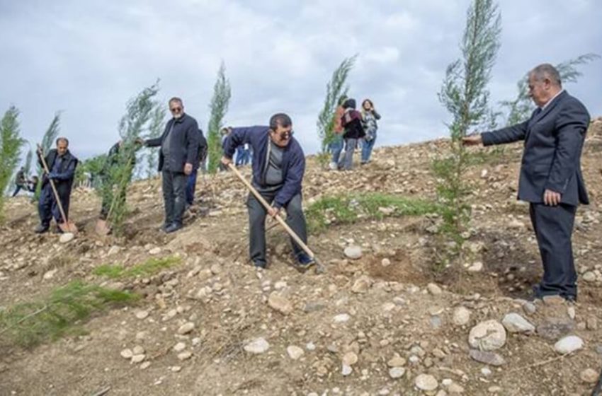  Turkey plants thousands of seedlings in Erbil