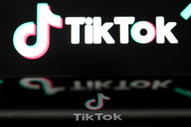  US judge halts pending TikTok ban in Montana