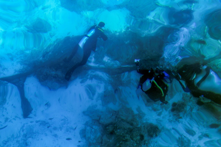  Volunteer divers guard Oman’s ‘unique’ coral reefs