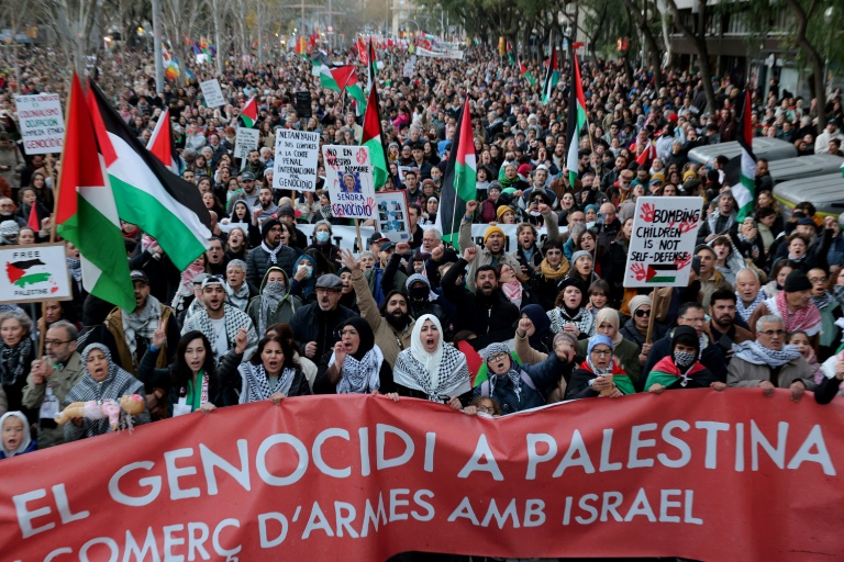  20,000 march in Madrid in support of Palestinians