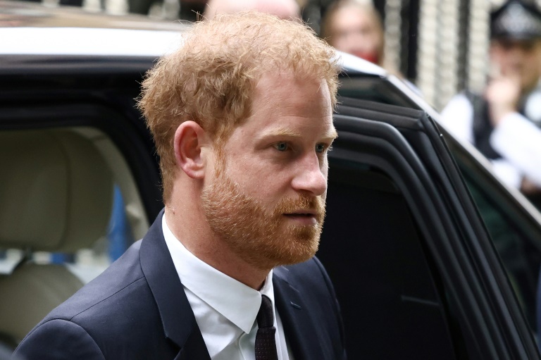  Prince Harry loses case against UK govt over security