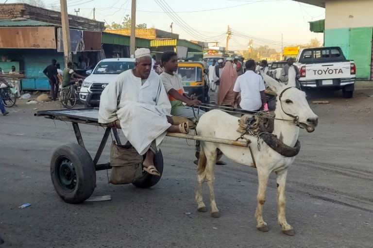  War-weary Sudanese without fuel turn to donkey carts