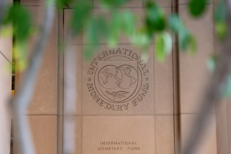  IMF officially starts process to find new managing director