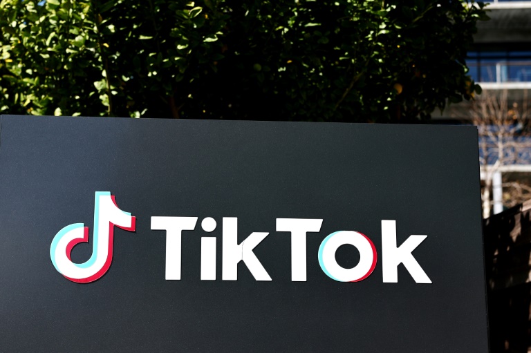  TikTok devotees say platform unfairly targeted for US ban