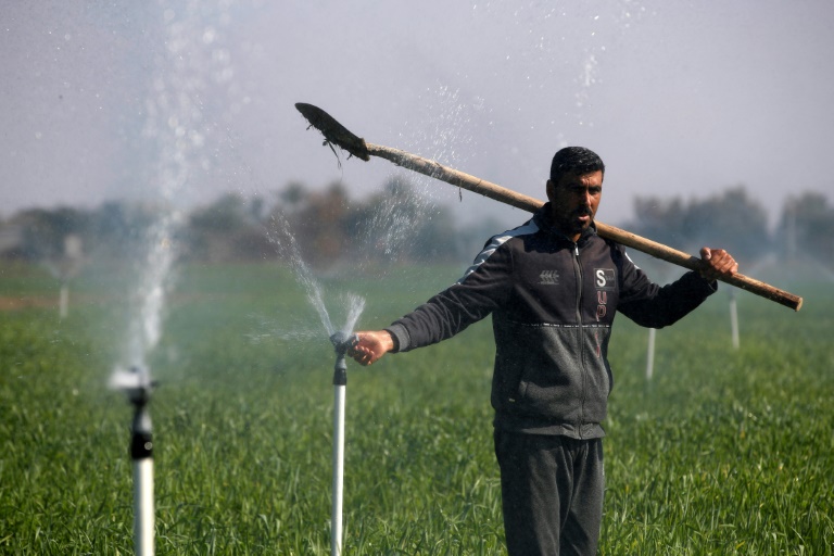  Iraq’s new water-saving irrigation system revives local crops