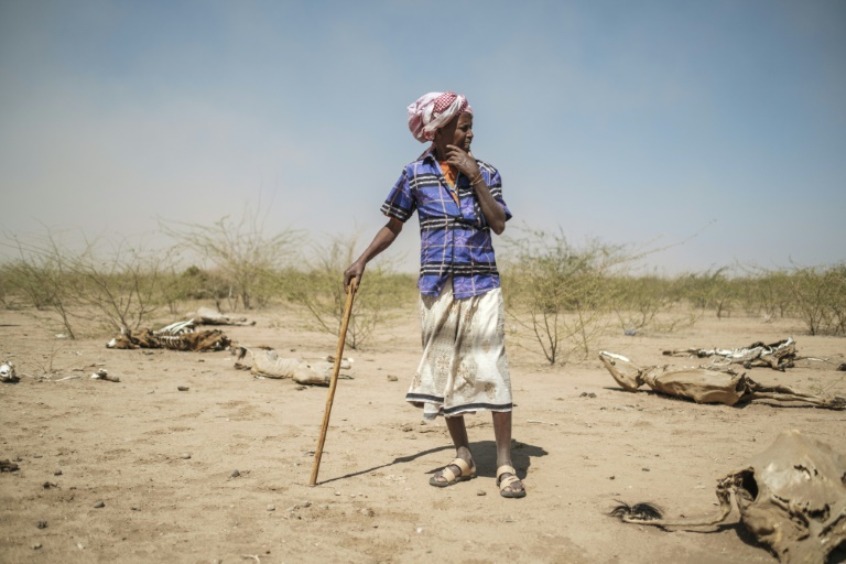  UN says $1 billion aid urgently needed for crisis-hit Ethiopia