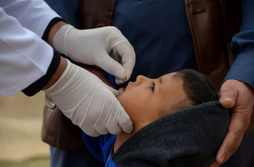  Iraqi government launches initiative to vaccinate 7.5 million children
